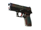 P250 | Cyber Shell image